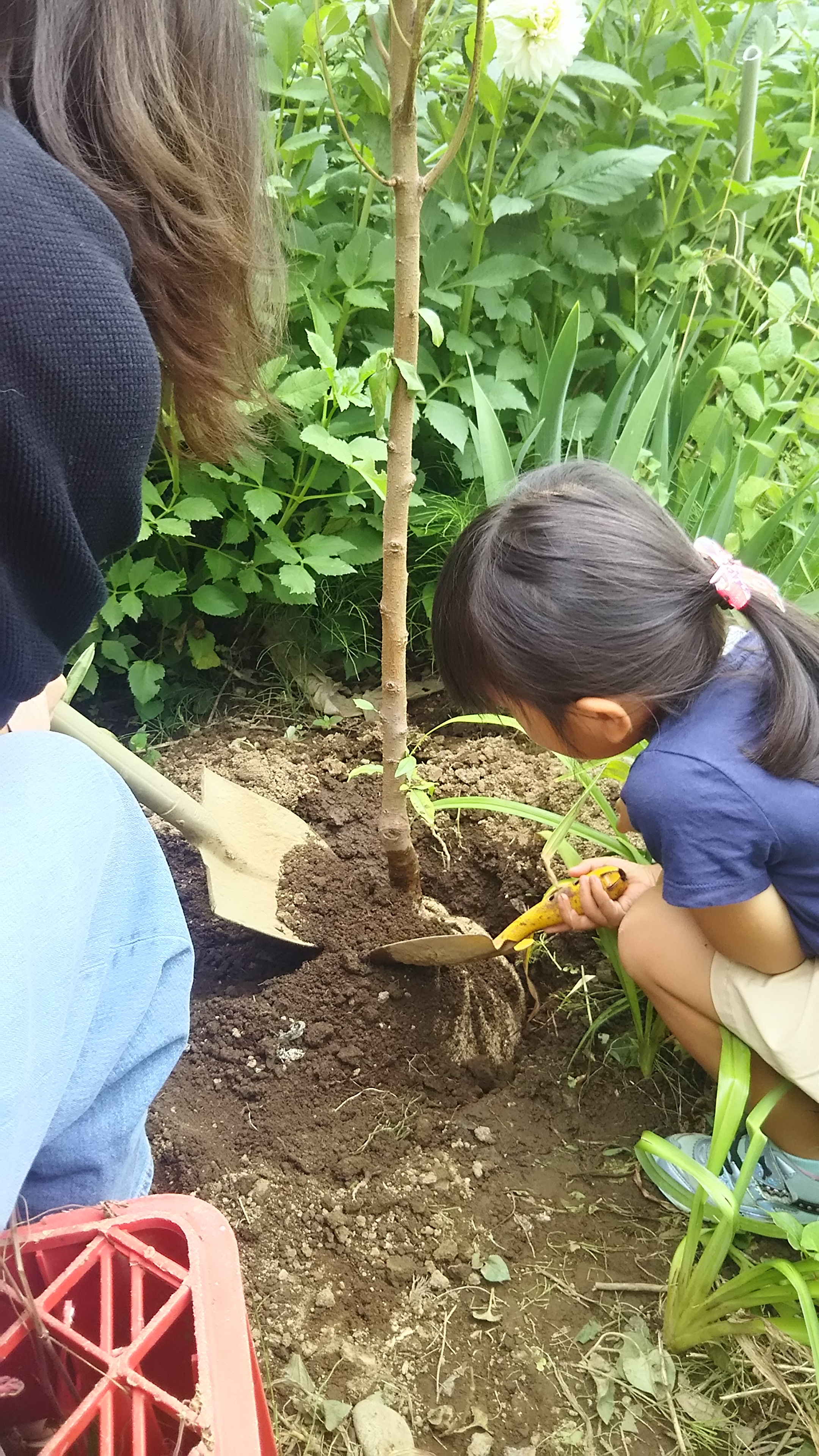 親子の活動写真