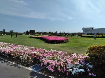 公園、春の風景の写真