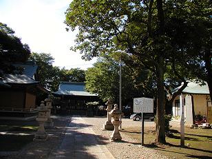 新曽氷川神社境内の写真
