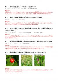 植物のクイズ(解答)画像