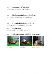 ほかの生き物のクイズ(問題)画像