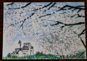 桜満開のセンター画像