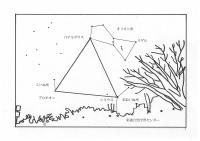冬の大三角線画の画像