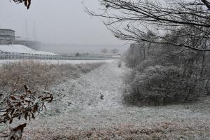 斜面側の雪の画像