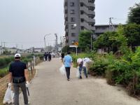 笹目川沿い歩道部分の清掃状況の写真