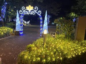 社会実験の後谷公園入口イルミの写真