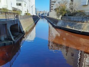 上戸田川が赤茶色に変色した写真