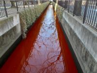 新曽さくら川が赤茶色に変色した写真