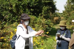 観察会の様子
