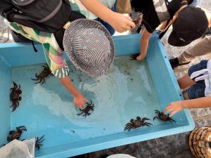 笹目川水族館_2