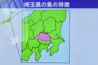 解説開始