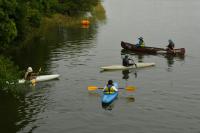 対岸で自然観察