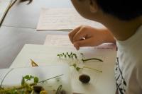 ワークシートに貼り付ける