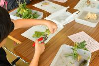 実を割って中を見る