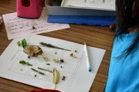 完成直前のワークシート