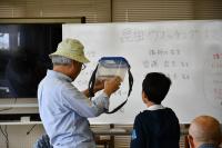 採集した昆虫の同定