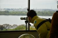 室内からカワセミを観察