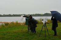 カヤブサを観察