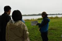 カンムリカイツブリの説明