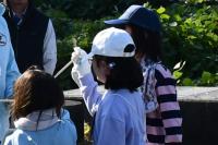 スタートの順番決め