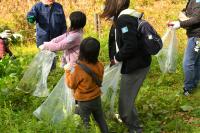 袋に入れ始める