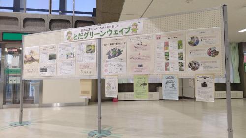 グリーンウェイブ2025でのパネル展示の写真