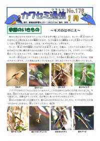カワセミ通信2026年1月号1ページ