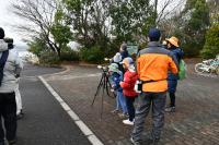 玄関前よりセグロカモメを観察