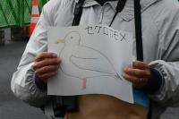 講師よりセグロカモメの説明