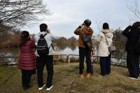 観賞池でカイツブリを観察