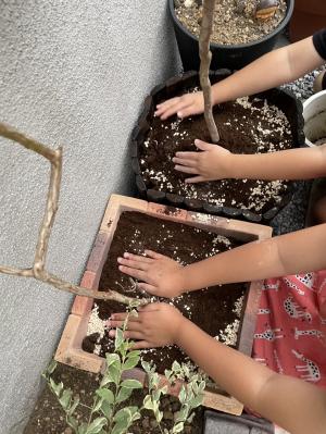 植樹する子供達の写真