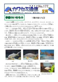 カワセミ通信2026年2月号1ページ