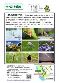 カワセミ通信2026年2月号2ページ