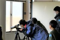 スコープで観察