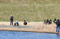 カリガネを観察する先客