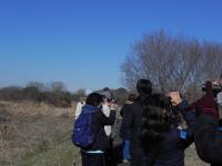 浄化機場での観察