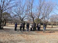 バーベキュー広場での観察