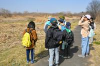 浄化機場にて観察