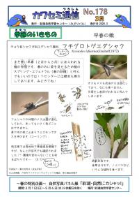 カワセミ通信2026年3月号1ページ