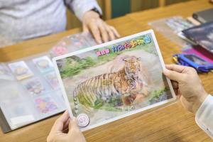レンチキュラー印刷を施した印刷物