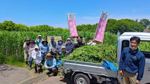 5月19日サクラソウ園作業の様子1