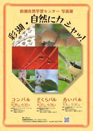 ポスター