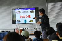 映像解説