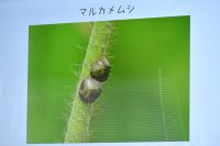 映像解説