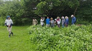 野草園 作業時の写真