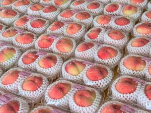 農産物直売会