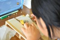 展翅板にチョウをのせる