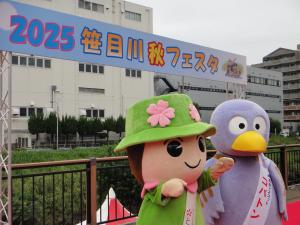 2025笹目川秋フェスタにてコバトンととだみちゃんの写真