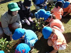 ひまわり幼稚園園児植え付けの画像