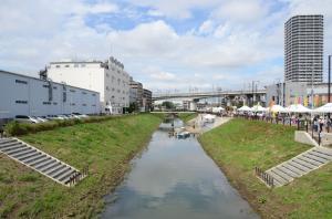 親水性護岸の写真